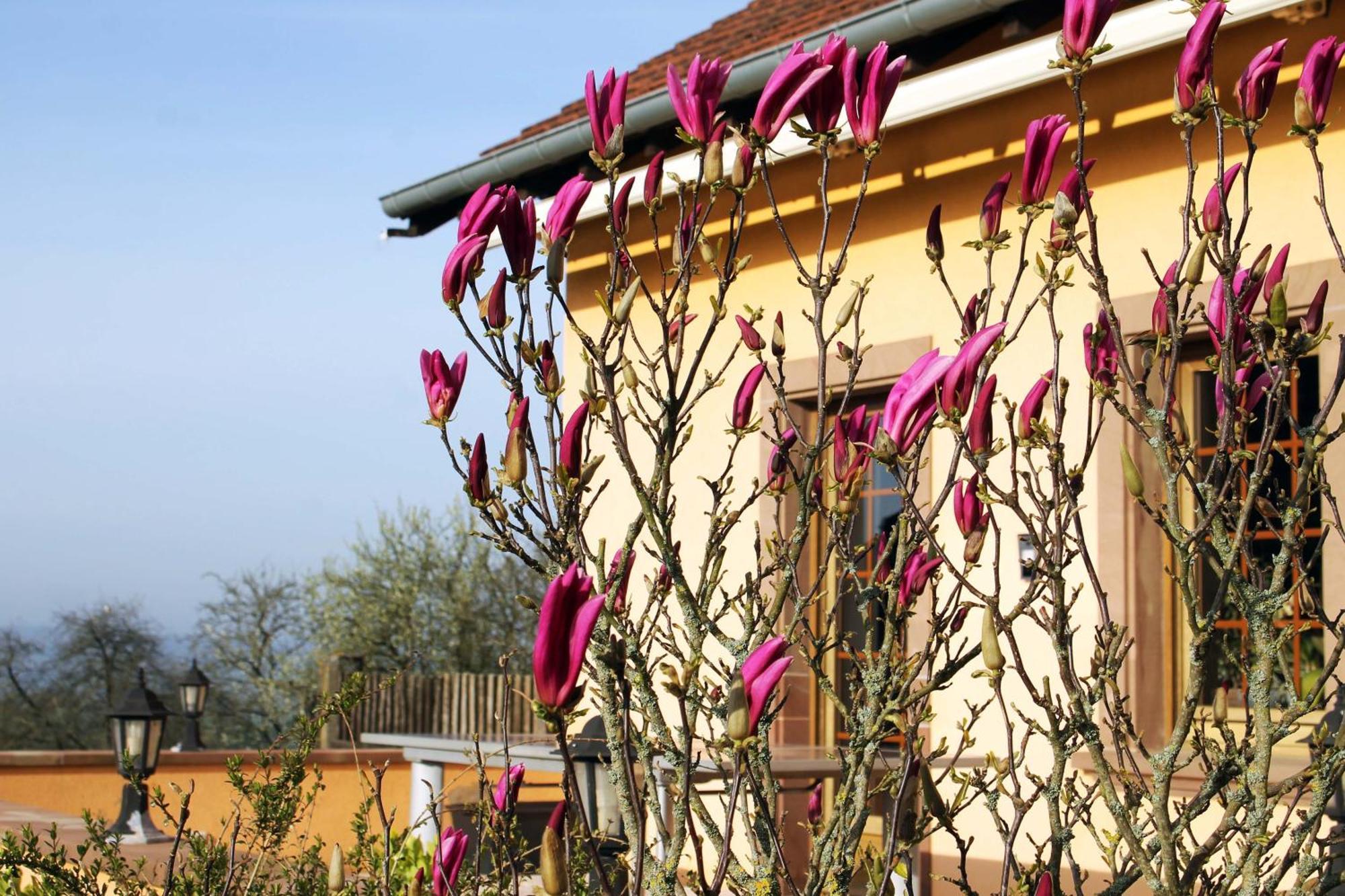 Ferienhaus Maison Villabella *